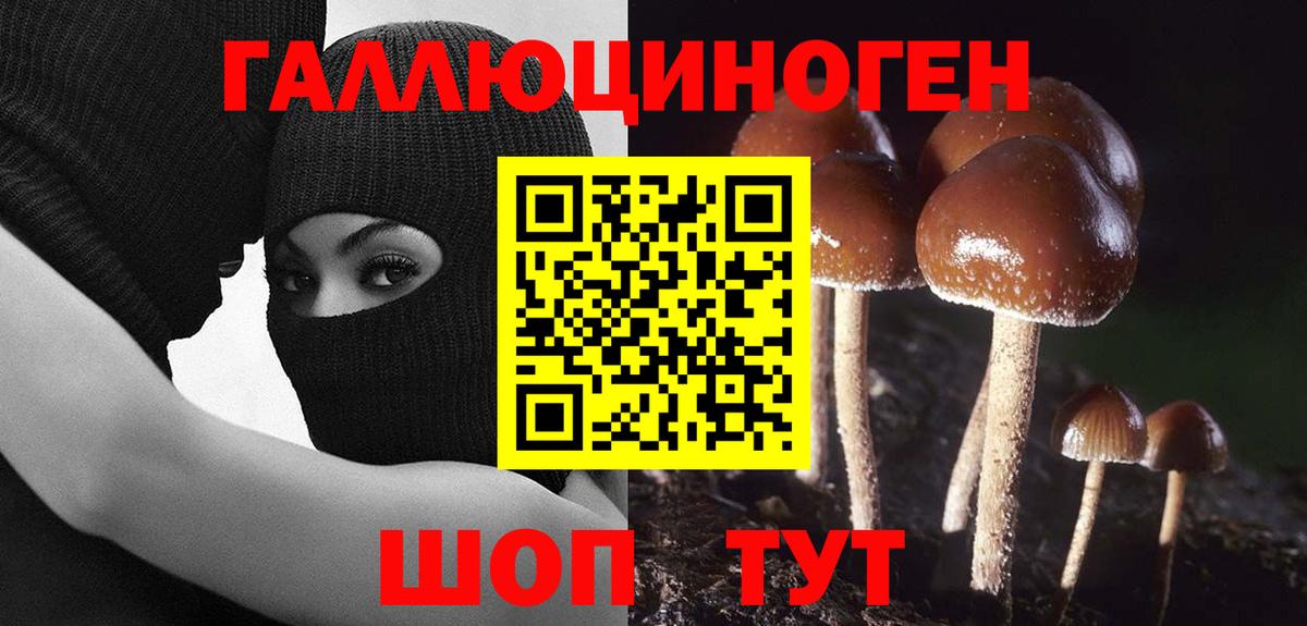 Галлюциногенные грибы мухоморы  Вход с VPN  Норильск 